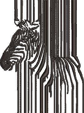 Zebra Design Zebra Design