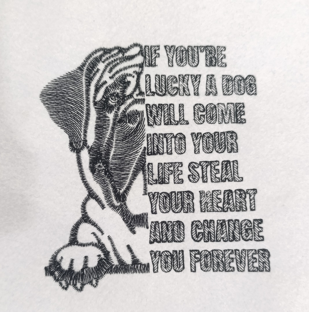 You're Lucky Dog Quote You're Lucky Dog Quote