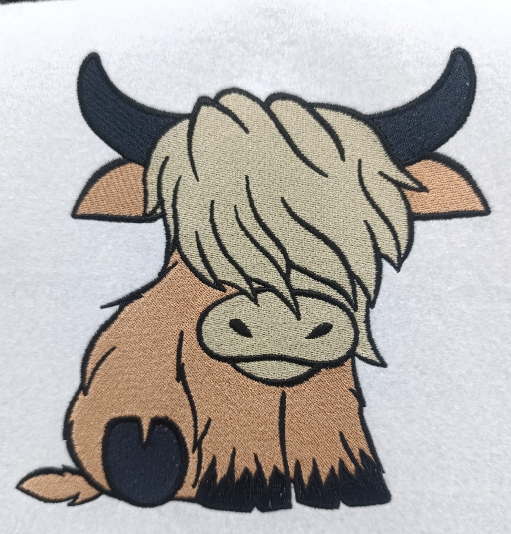 Baby Highland Cow