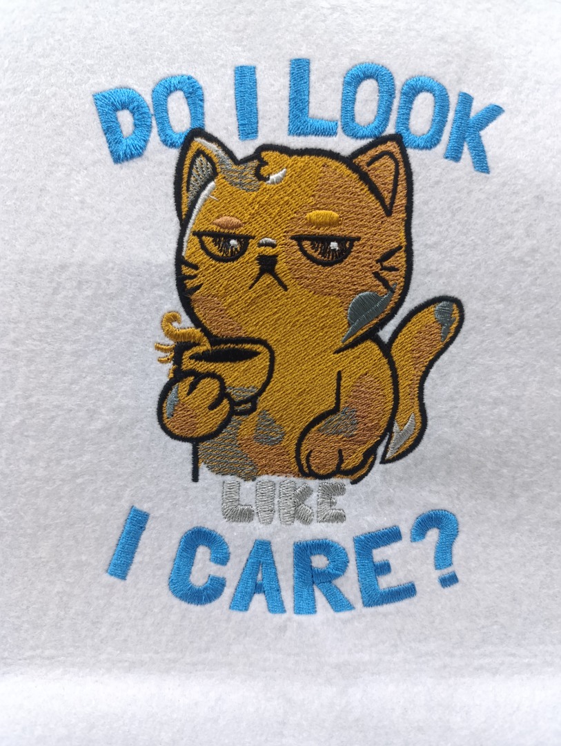 Do I Look Like I Care Cat Quote Do I Look Like I Care Cat Quote
