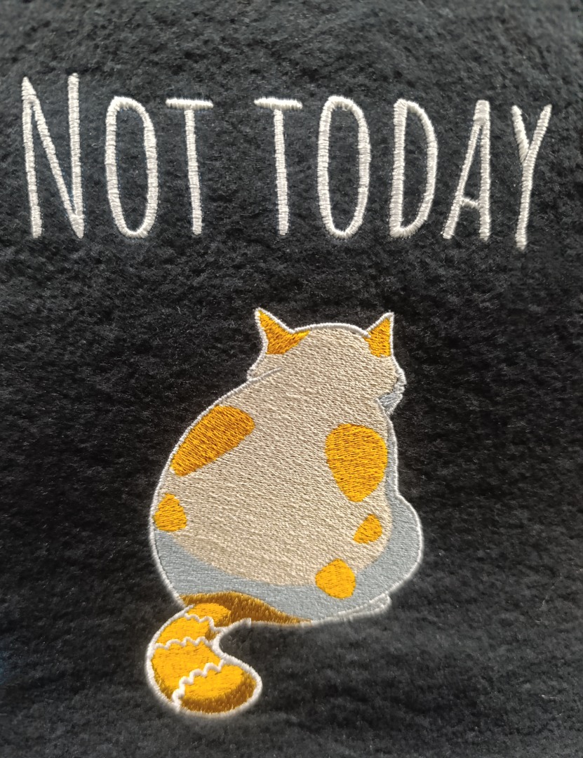 Not Today Tired Cat Not Today Tired Cat