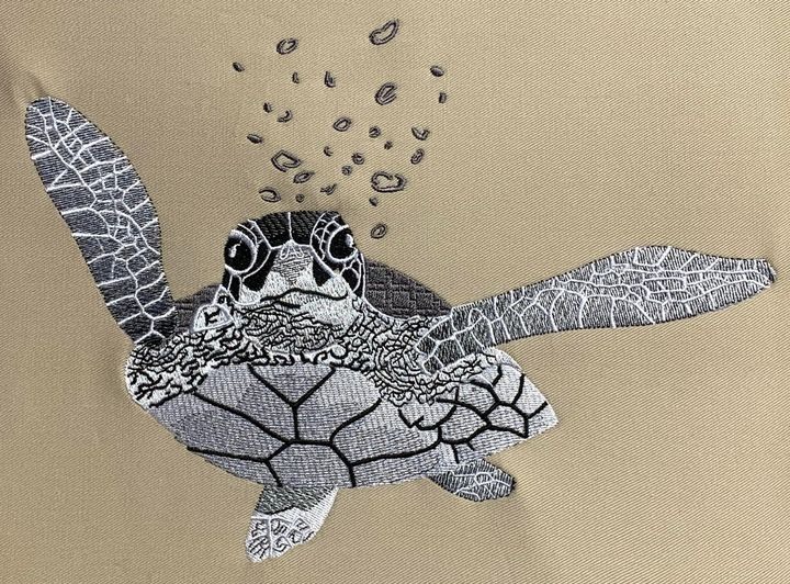 Sea Turtle Sea Turtle
