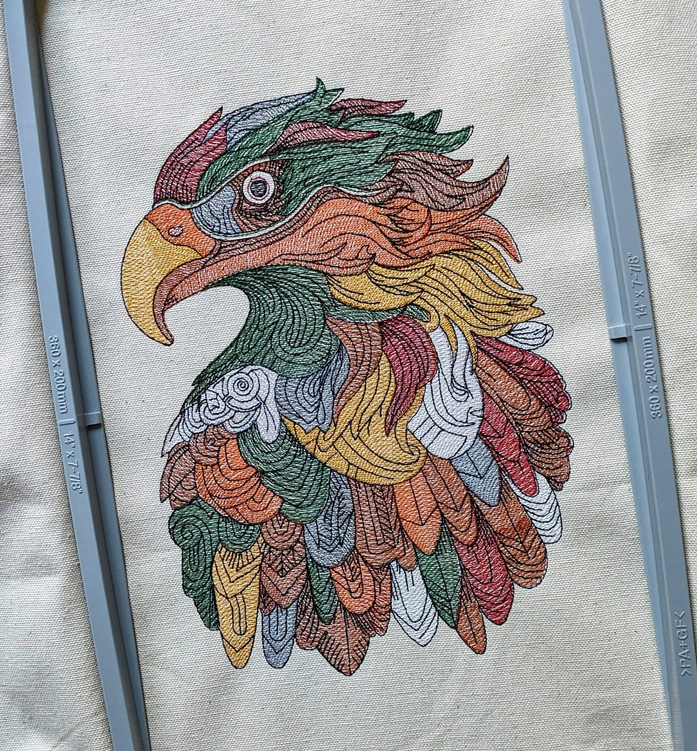 Colorful Eagle Colorful Eagle