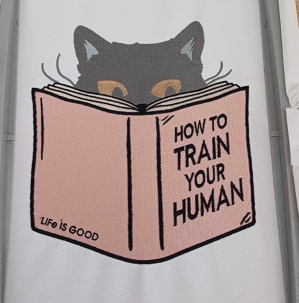 Train Your Human Funny Cat Train Your Human Funny Cat
