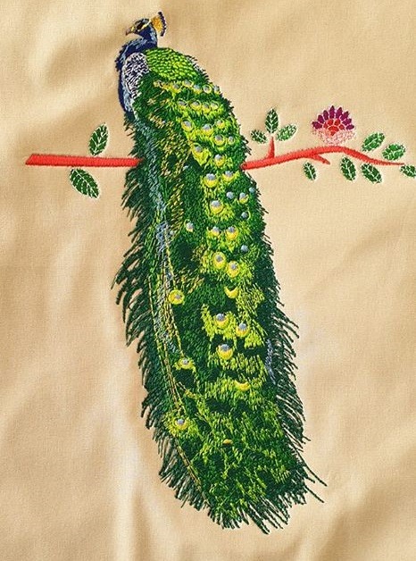 Peacock Peacock