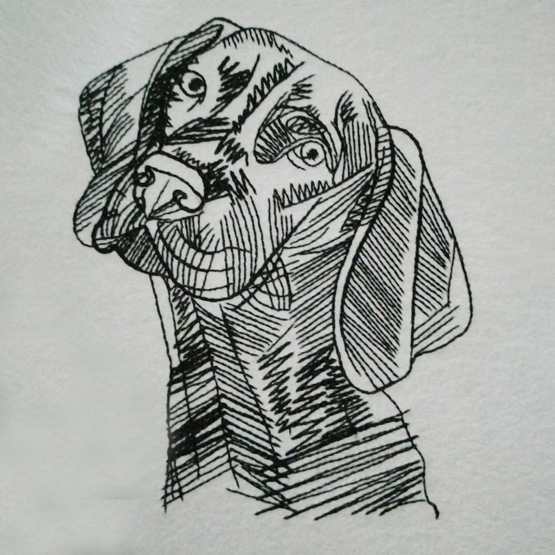 American Coonhound Face American Coonhound Face
