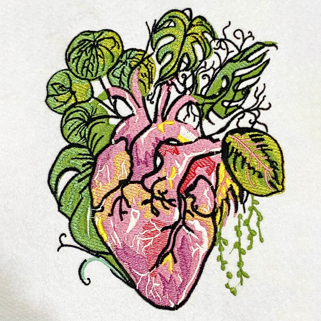 Anatomical Heart Anatomical Heart