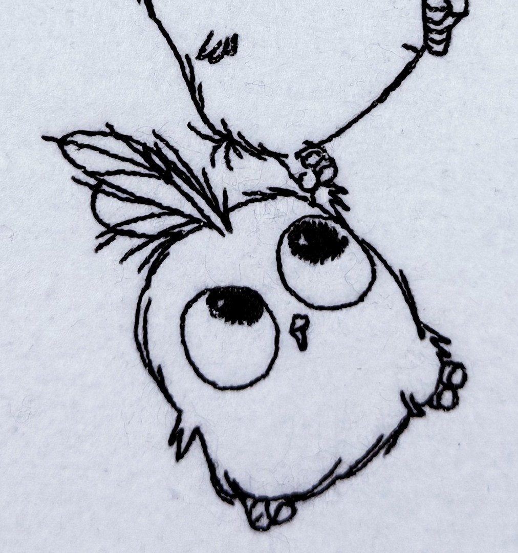 Angry Birds Angry Birds