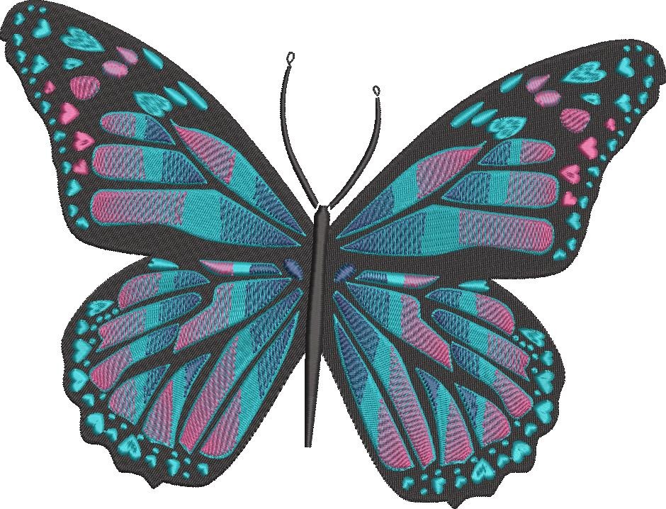 Colorful Butterfly Colorful Butterfly