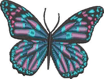 Colorful Butterfly Colorful Butterfly