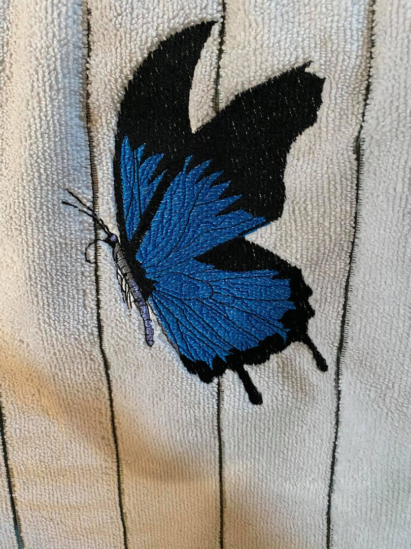 Ulysses Butterfly Ulysses Butterfly