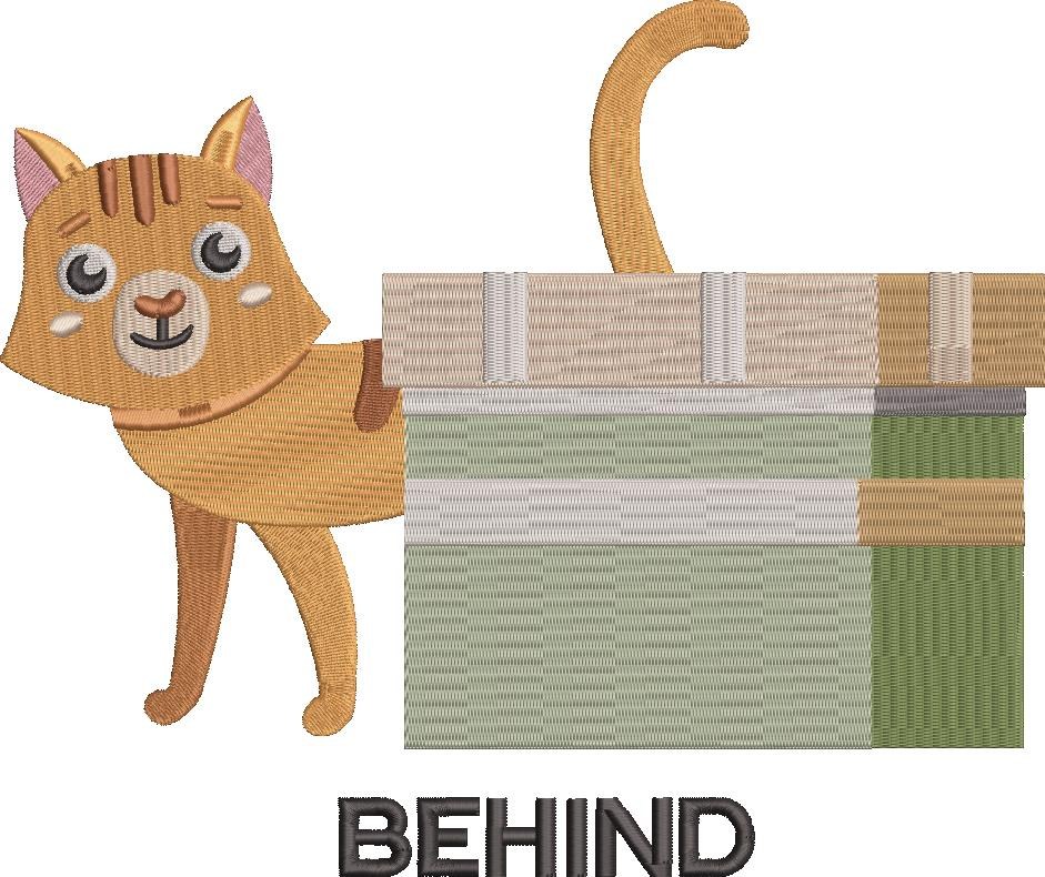 Pack of Preposition with Cat