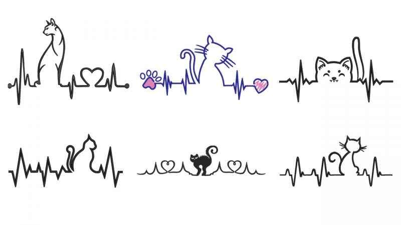 Cat Heart Beat Collection Cat Heart Beat Collection