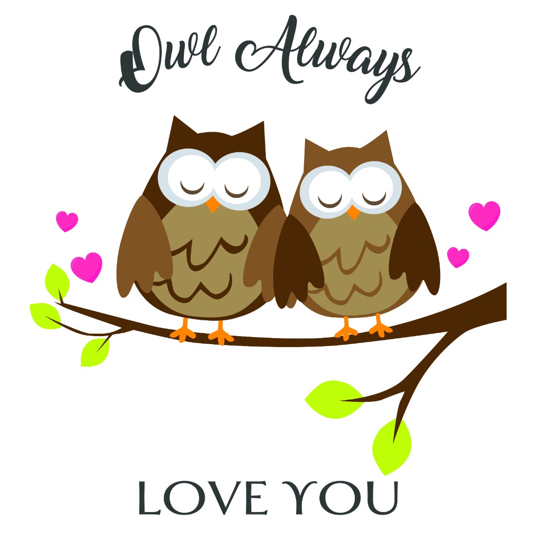 Owl Love Vector Only Owl Love Vector Only