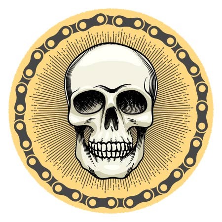 Skull Vector Only