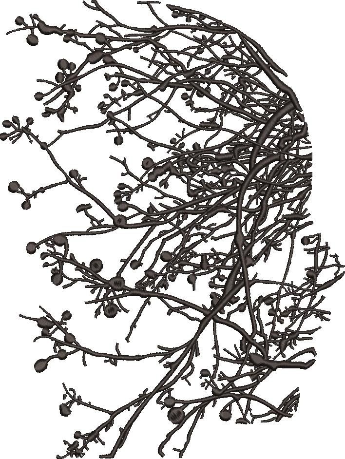 Girl Face Silhouette Girl Face Silhouette
