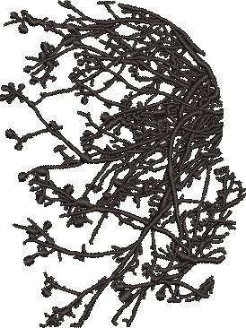 Girl Face Silhouette Girl Face Silhouette