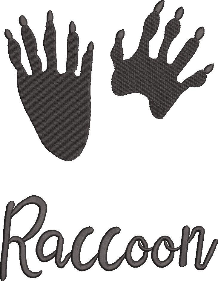 Racoon Paw