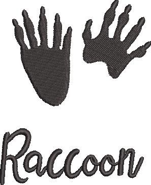 Racoon Paw