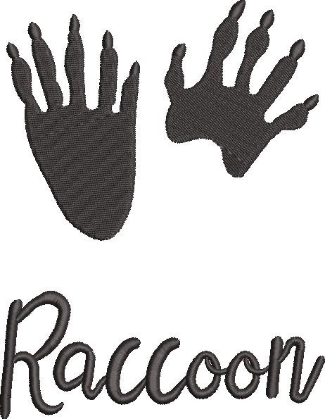 Racoon Paw