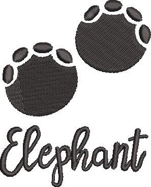 Elephant Paw Elephant Paw