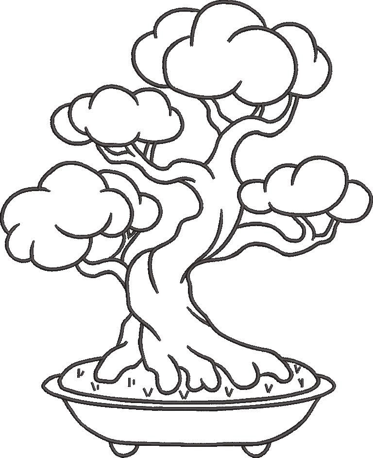 Bonsai Tree