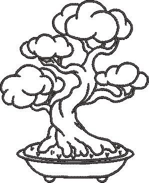 Bonsai Tree