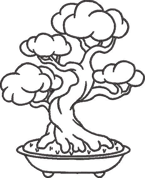 Bonsai Tree