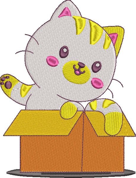 Cat In A Box
