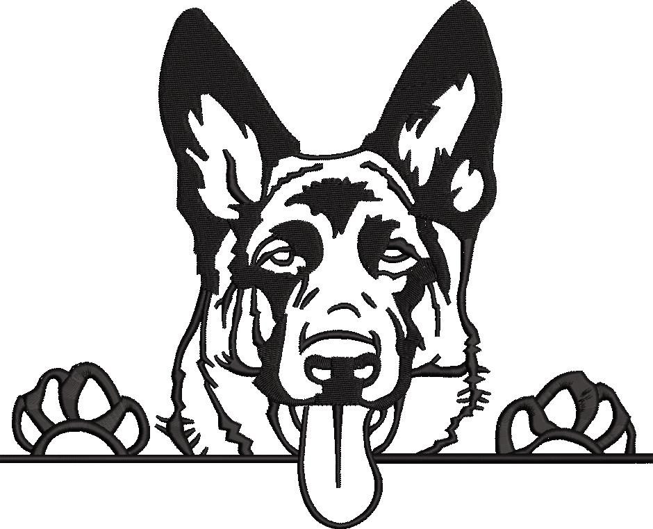 German Shepherd German Shepherd