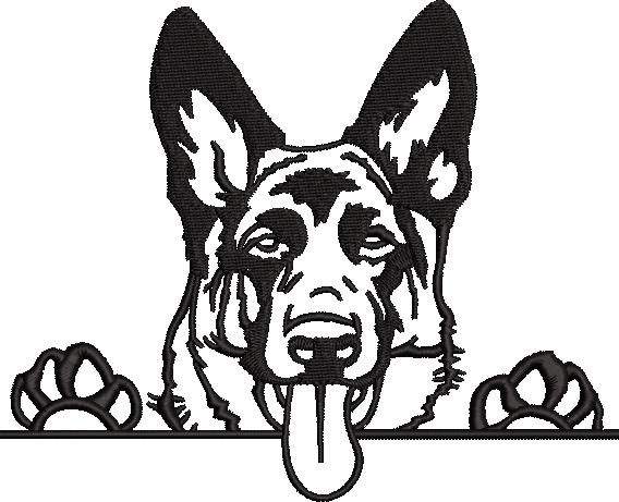 German Shepherd German Shepherd