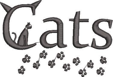 Cat & Paws