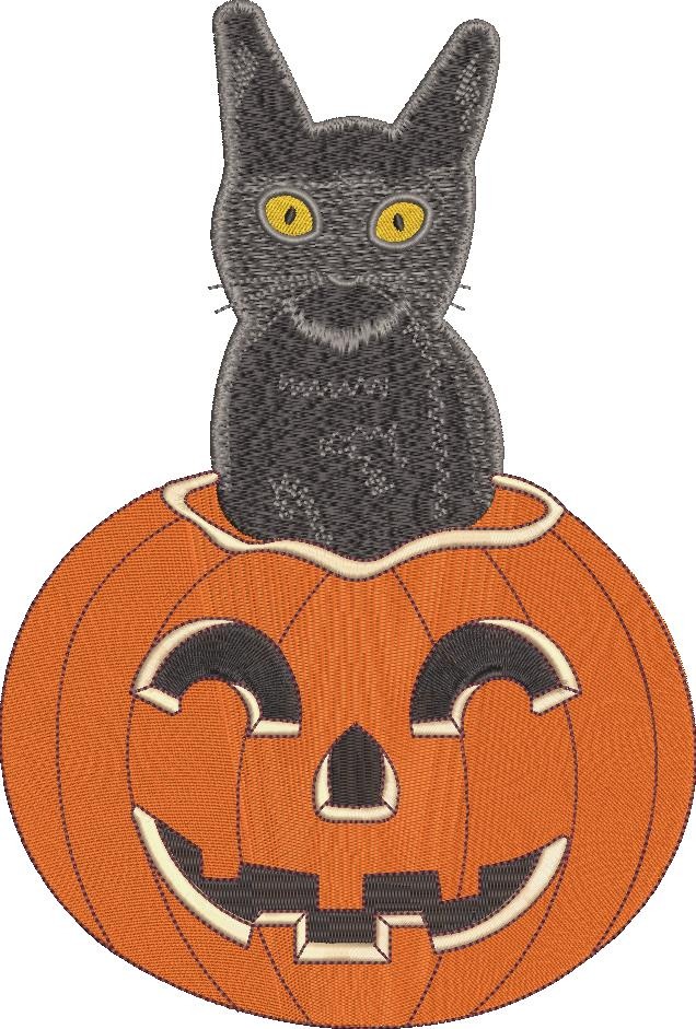 Black Cat In Jack O Lantern Black Cat In Jack O Lantern
