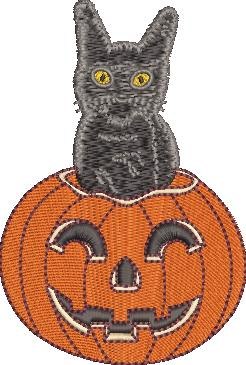 Black Cat In Jack O Lantern Black Cat In Jack O Lantern