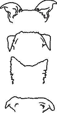 Dog Ears Outline Dog Ears Outline