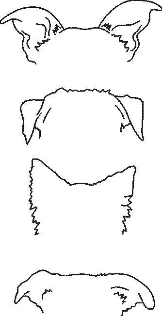 Dog Ears Outline Dog Ears Outline