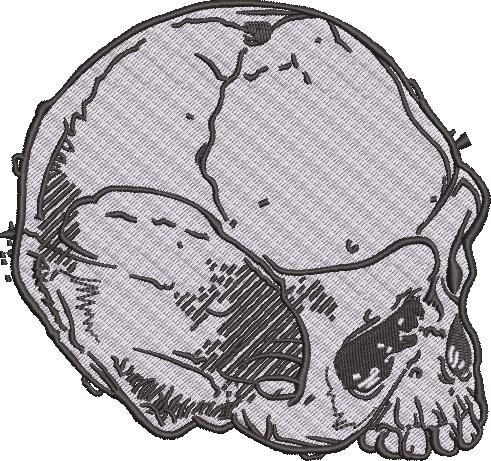 Cracked Skull Cracked Skull