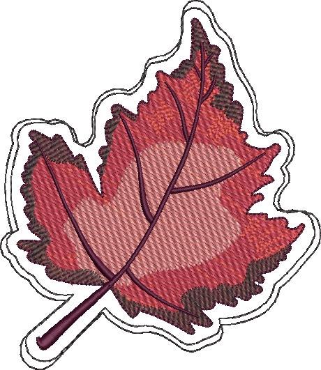Maple Leaf