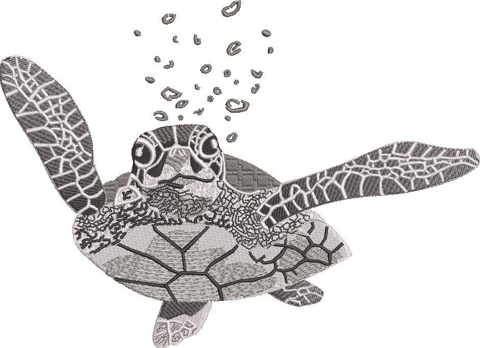 Sea Turtle Sea Turtle