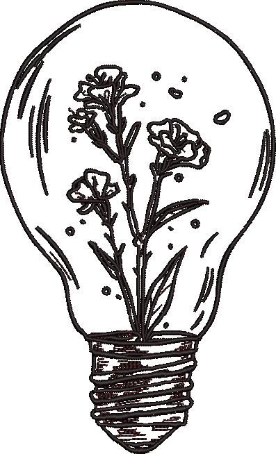 Flowers In A Bulb Flowers In A Bulb