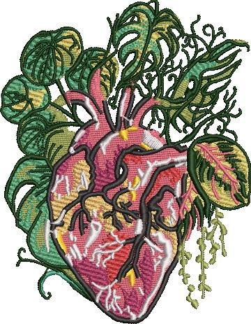Anatomical Heart Anatomical Heart