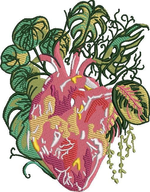 Anatomical Heart Anatomical Heart