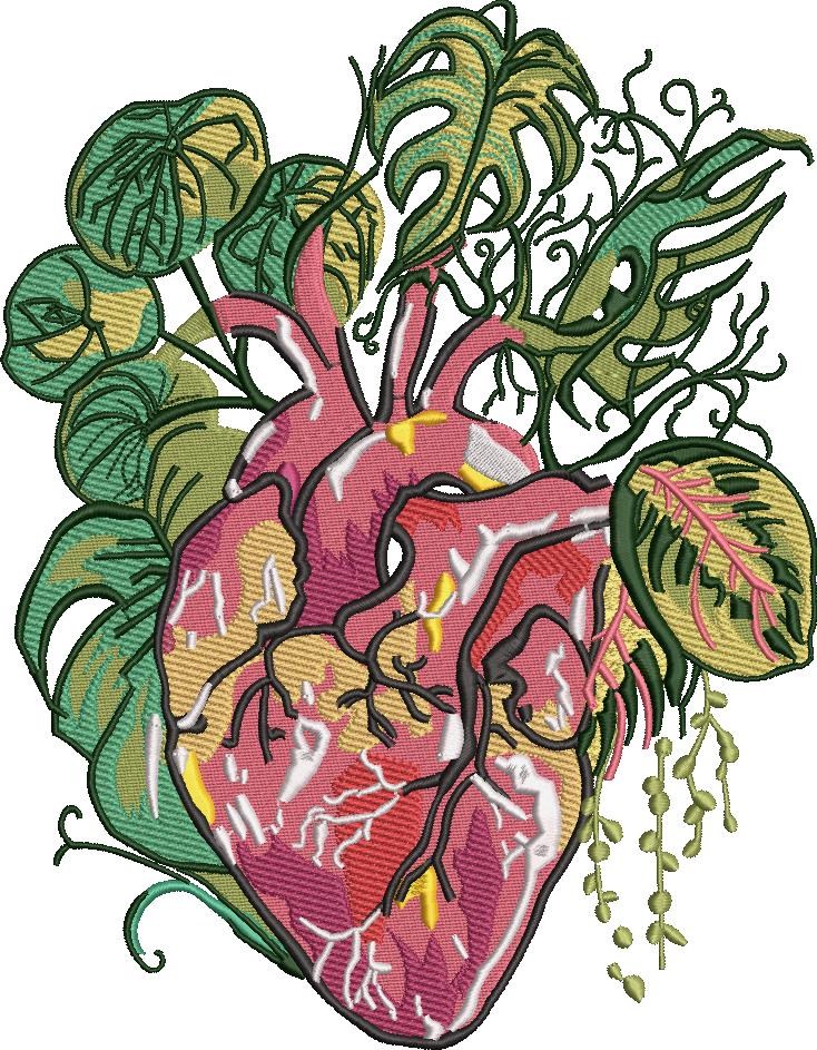 Anatomical Heart Anatomical Heart