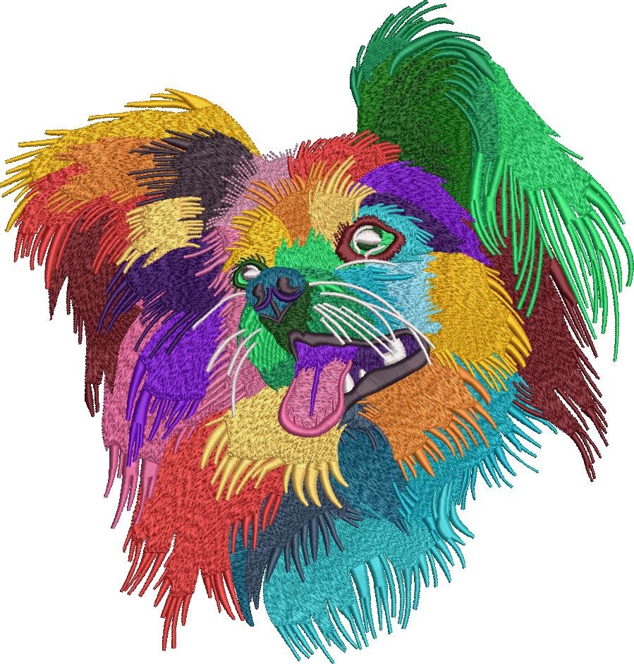 Colorful Papillon Colorful Papillon