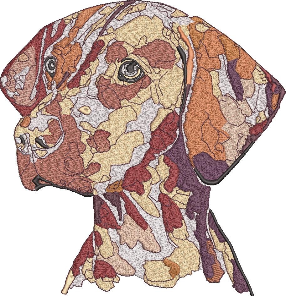 Labrador Retriever Labrador Retriever