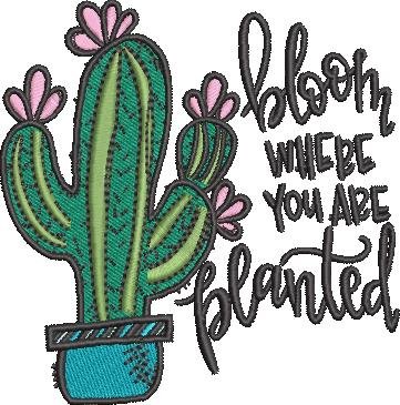 Bloom Where You Are Planted Bloom Where You Are Planted