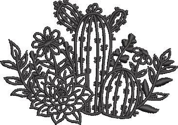 Cactus Patch Cactus Patch