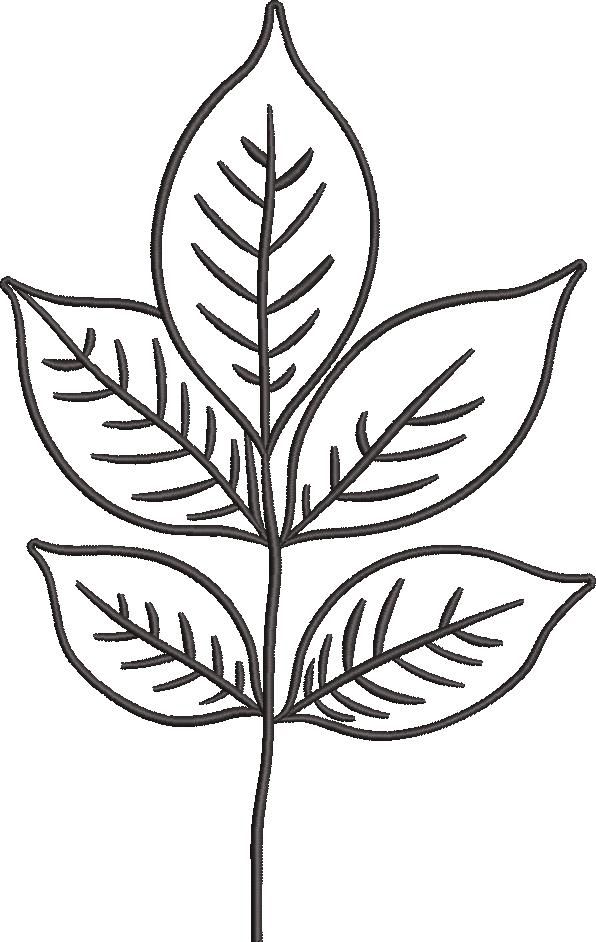 Pack of Leaves Pack of Leaves