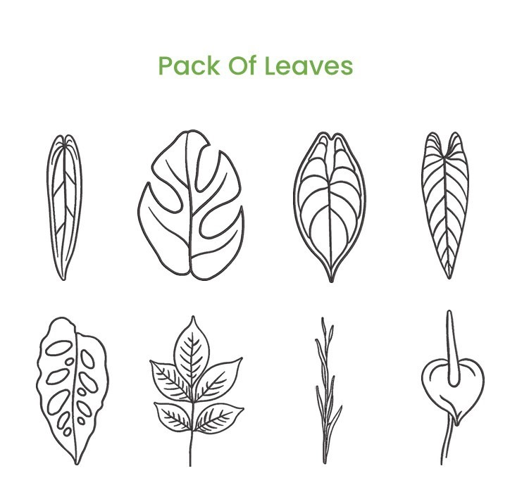 Pack of Leaves Pack of Leaves