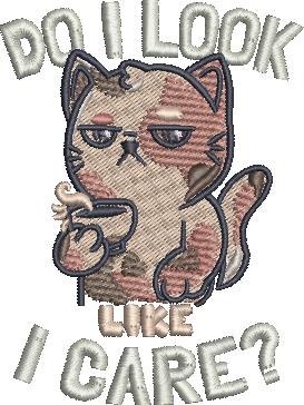 Do I Look Like I Care Cat Quote Do I Look Like I Care Cat Quote